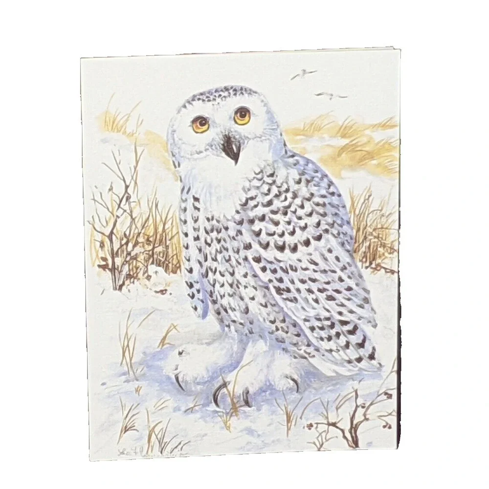 Wild Bird Notecards Blank LOT OF 13 Some Duplicates 4.25 x 5.5